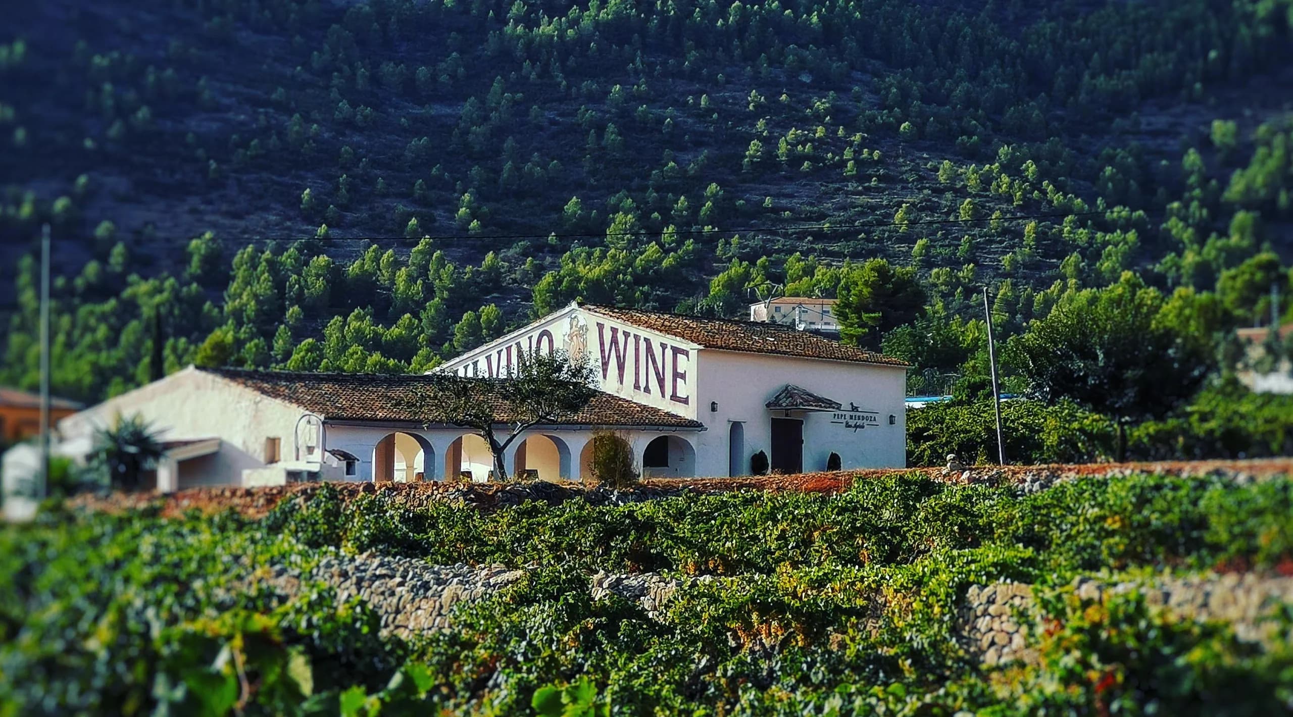 Bodega Bernardino Segura vino granel Alicante