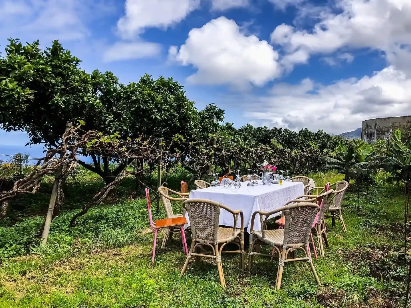 Imagen de Bodega Finca Marañuela en Tenerife