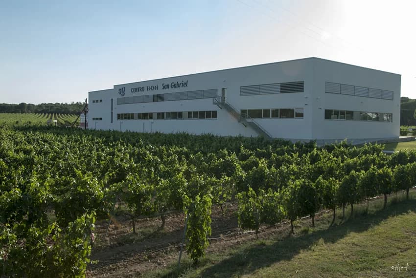 Bodega Selección vinoteca San Gabriel Alicante