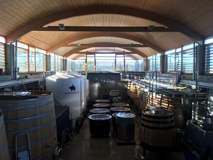 Bodegas Bernabeleva vinos autor San Martín de Valdeiglesias