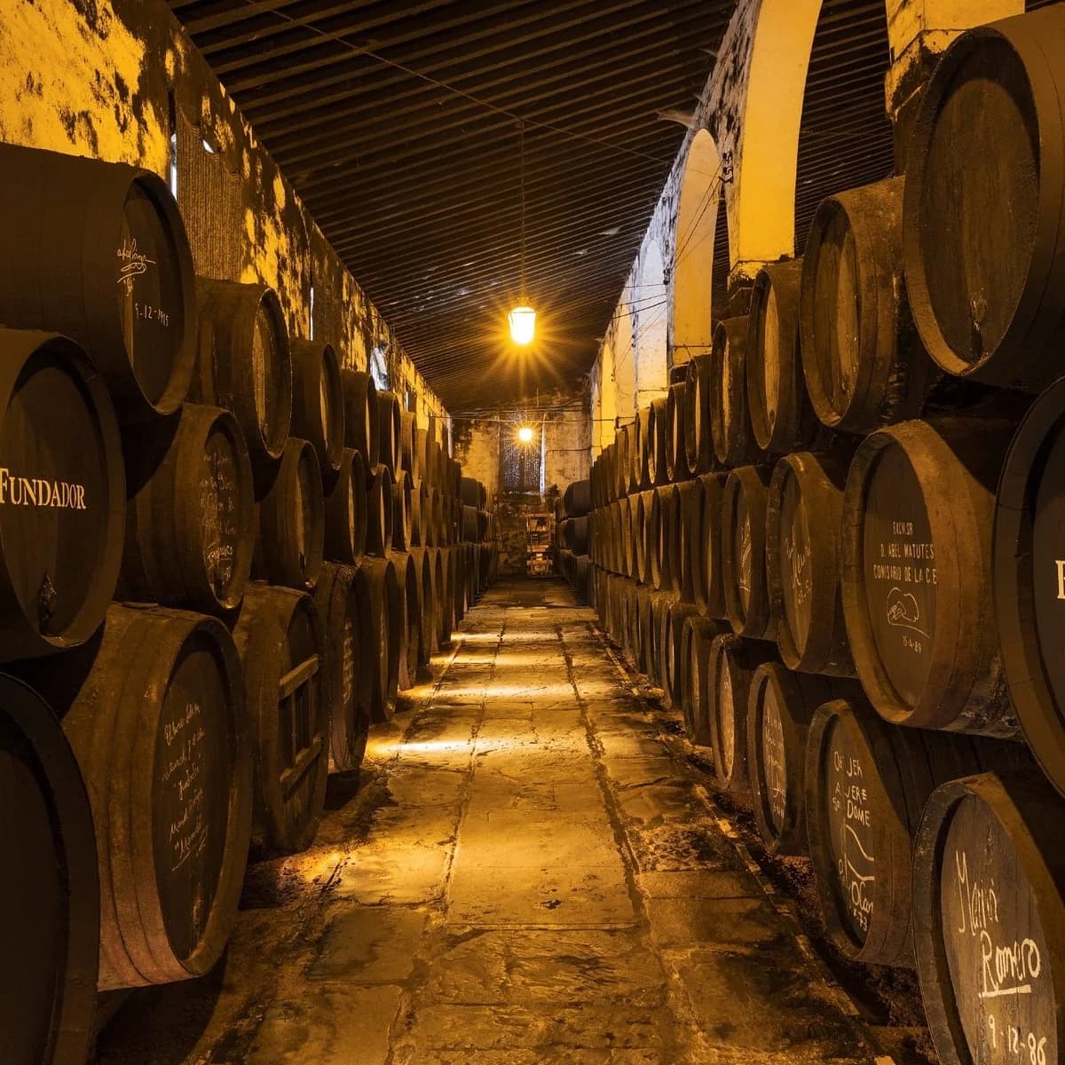 Bodegas Fundador brandy Jerez de la Frontera