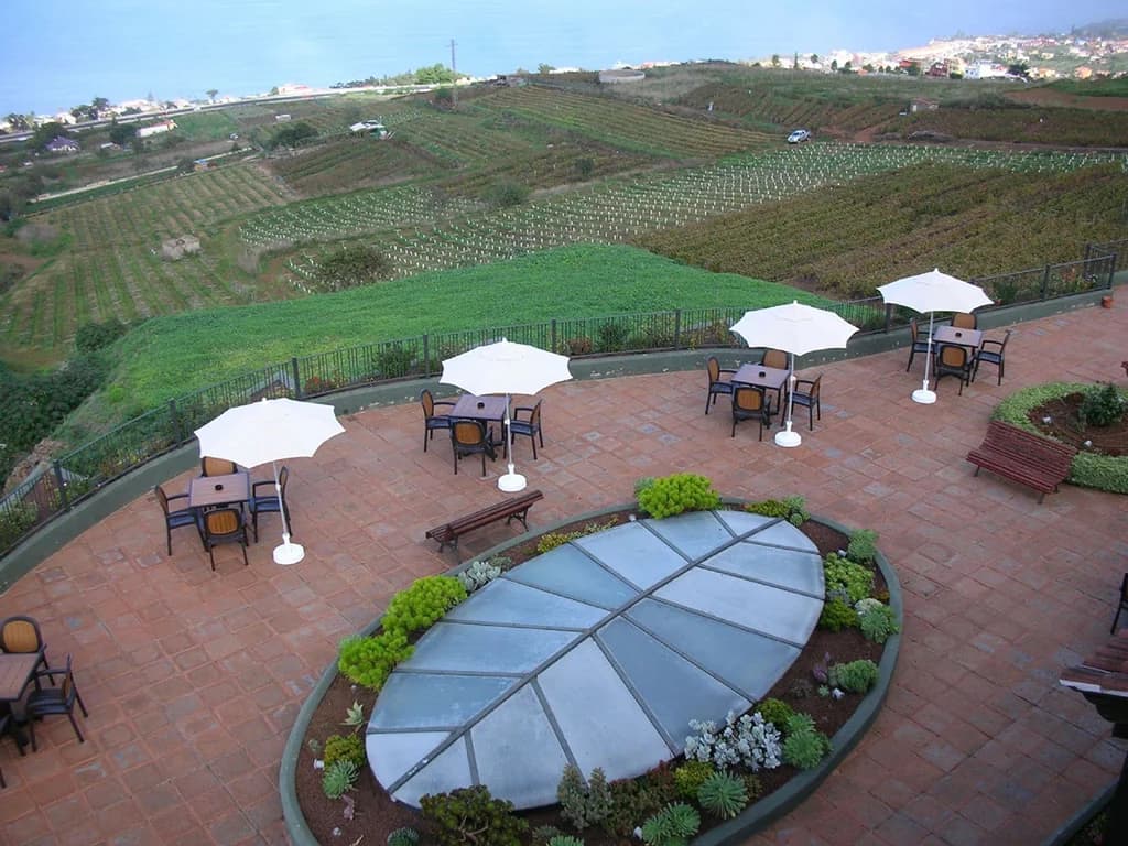 Bodegas Monje viñedo terraza El Sauzal Tenerife