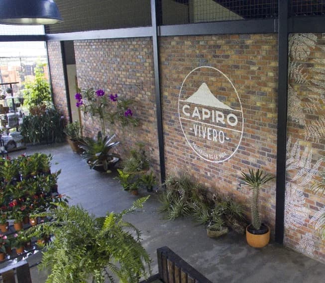 Capiro Madrid