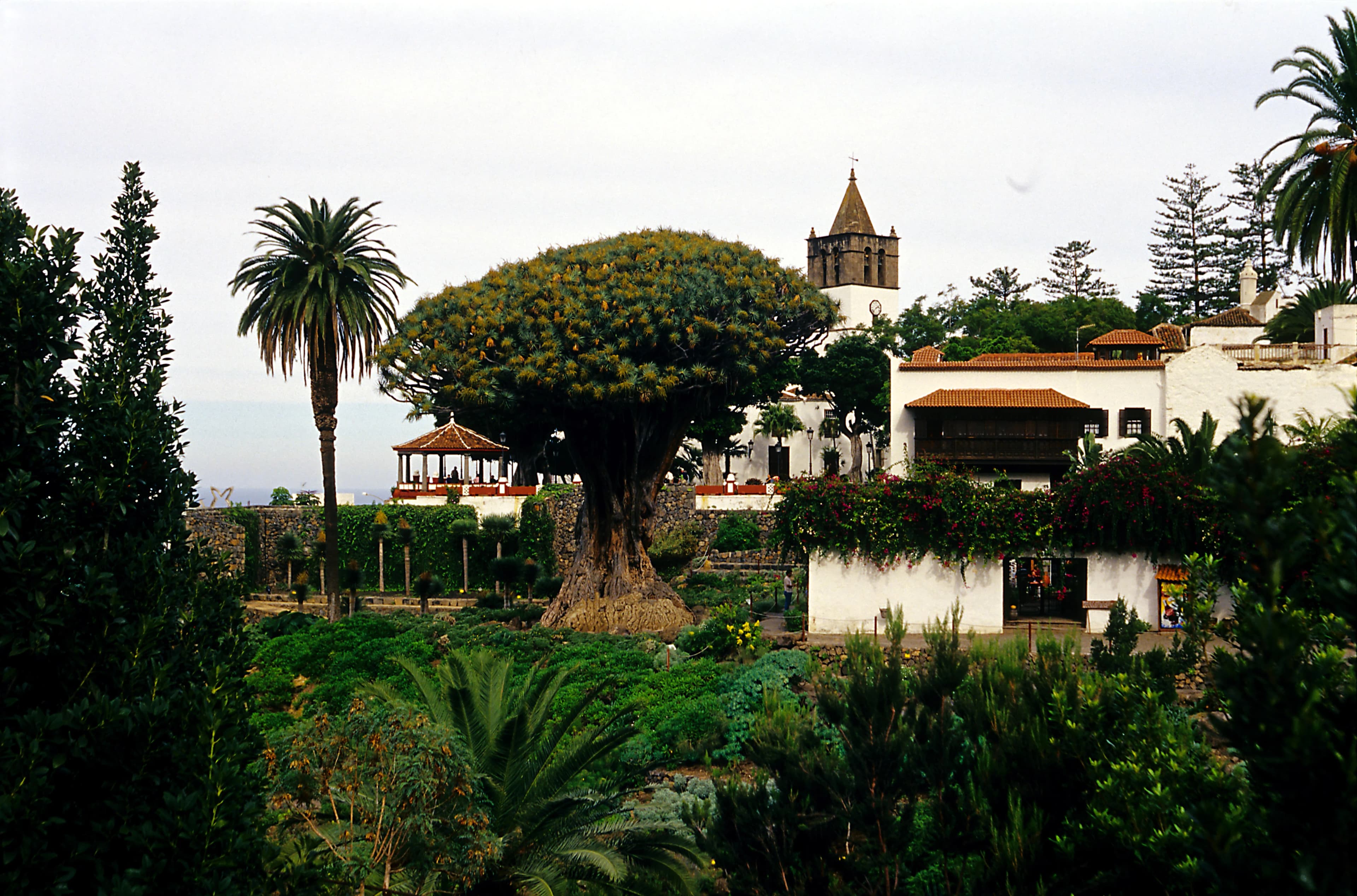 Imagen de Casa del Vino de Tenerife en Tenerife