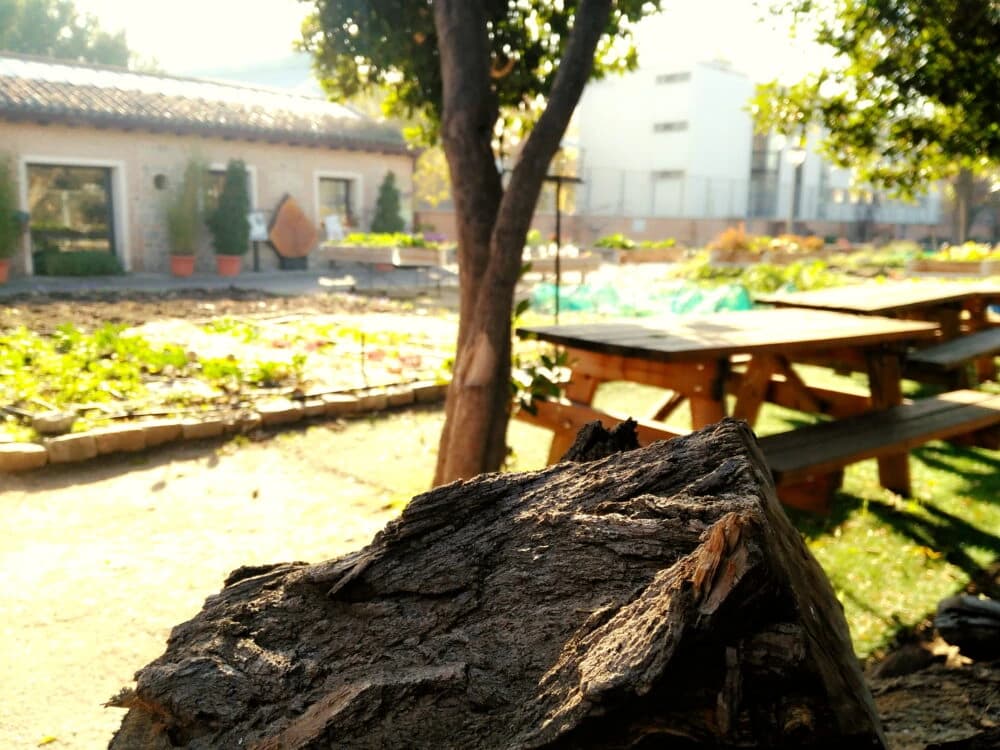 Imagen de Centro de Educación Ambiental El Retiro
