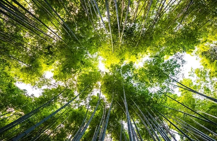 Imagen de Centro de Interpretación de la Naturaleza Montecarmelo
