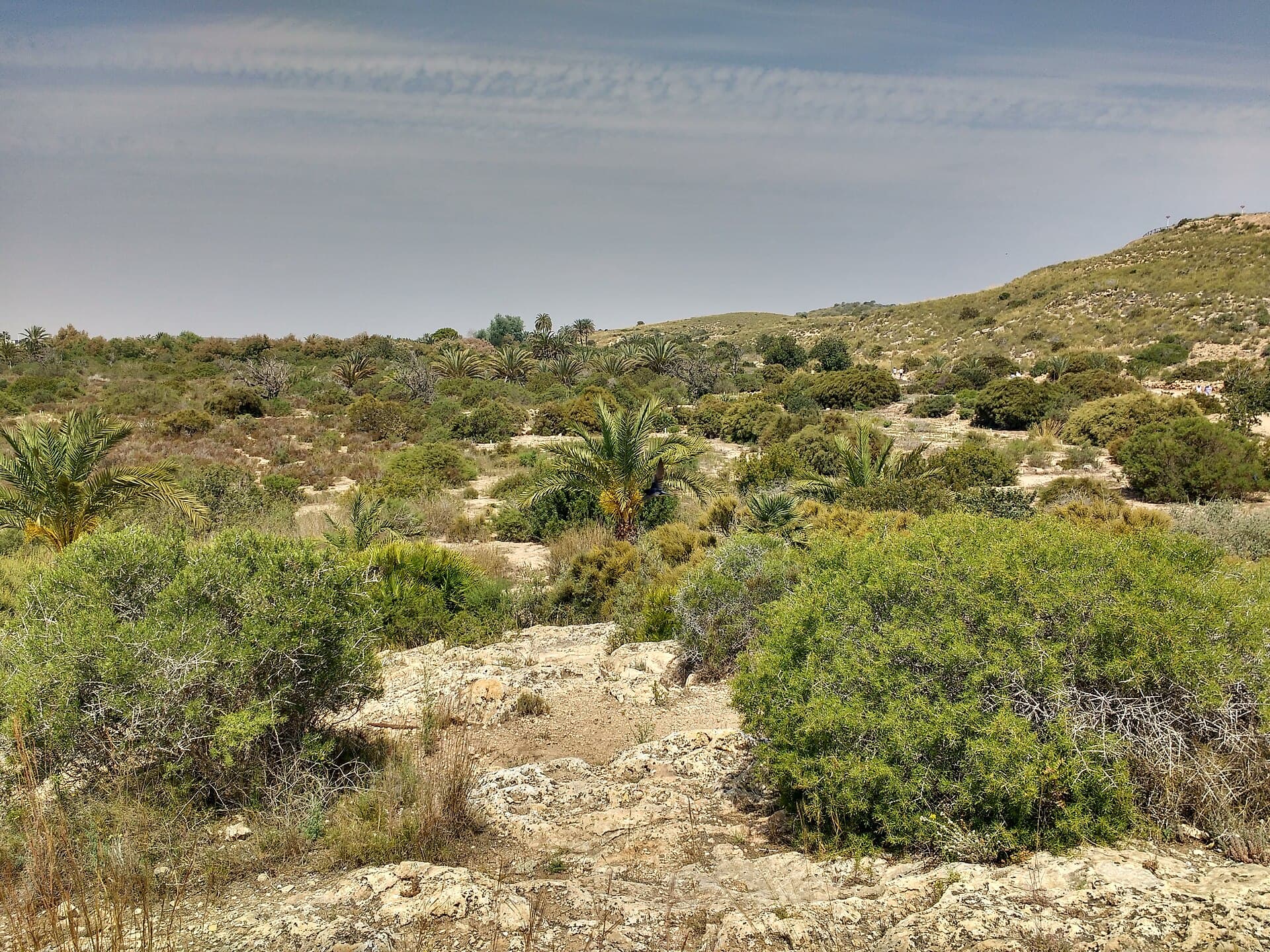 Clot de Galvany (Alicante)