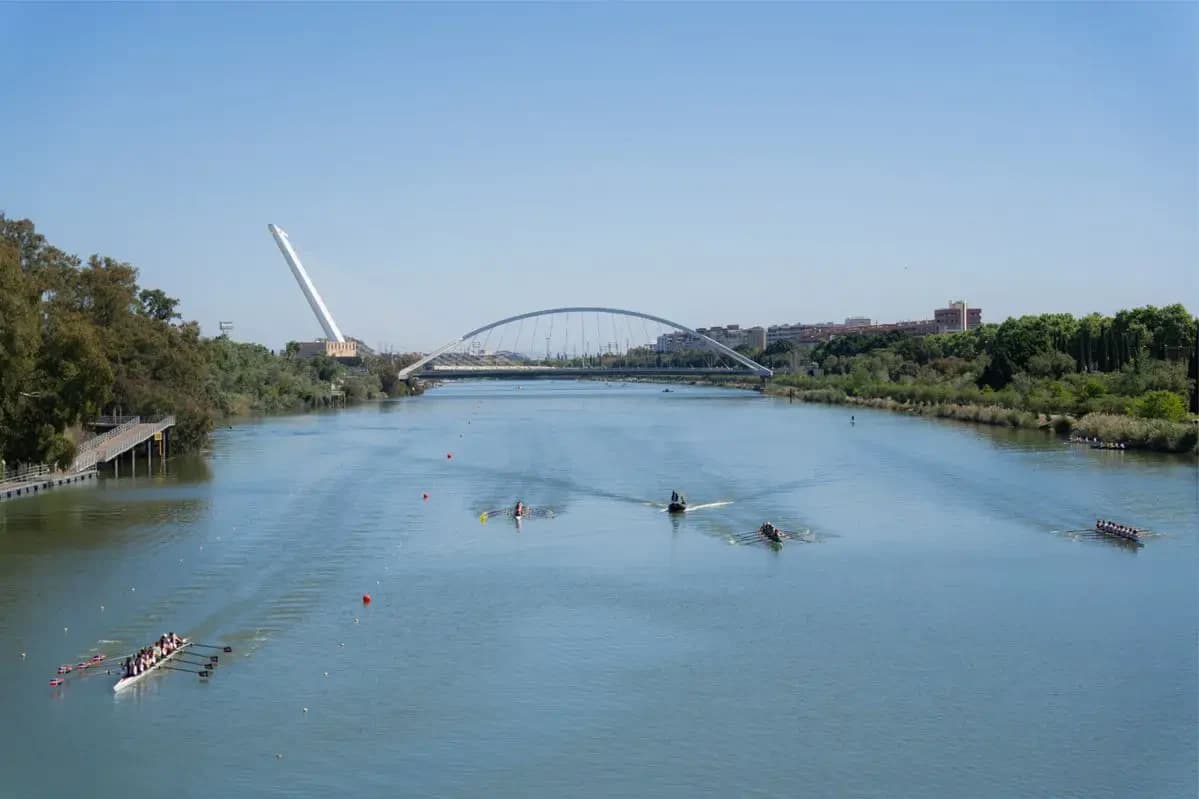 Imagen de Club RemoSevilla en Sevilla