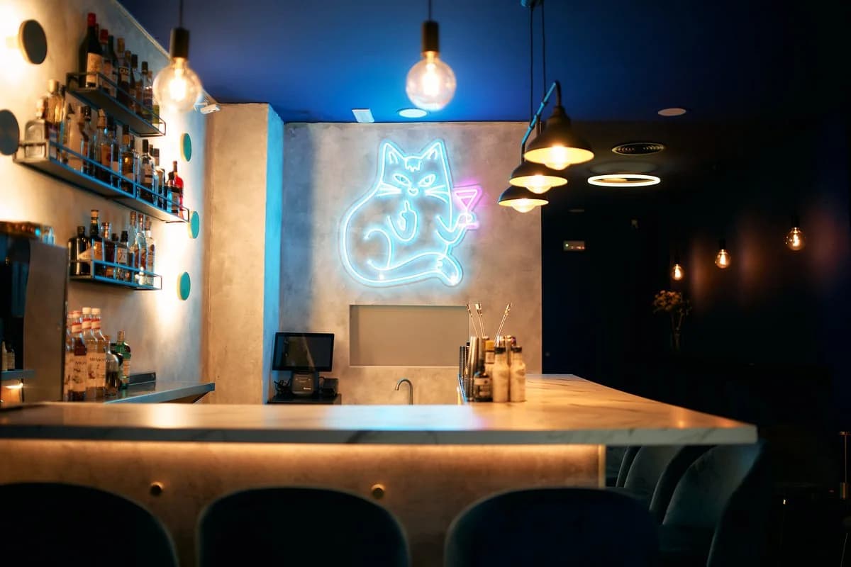 Barra y ambiente nocturno en Gato Negro