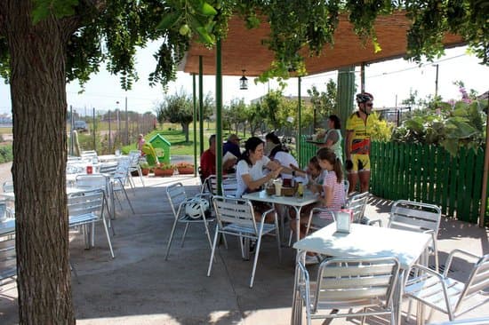 Horchatería Vida en la huerta