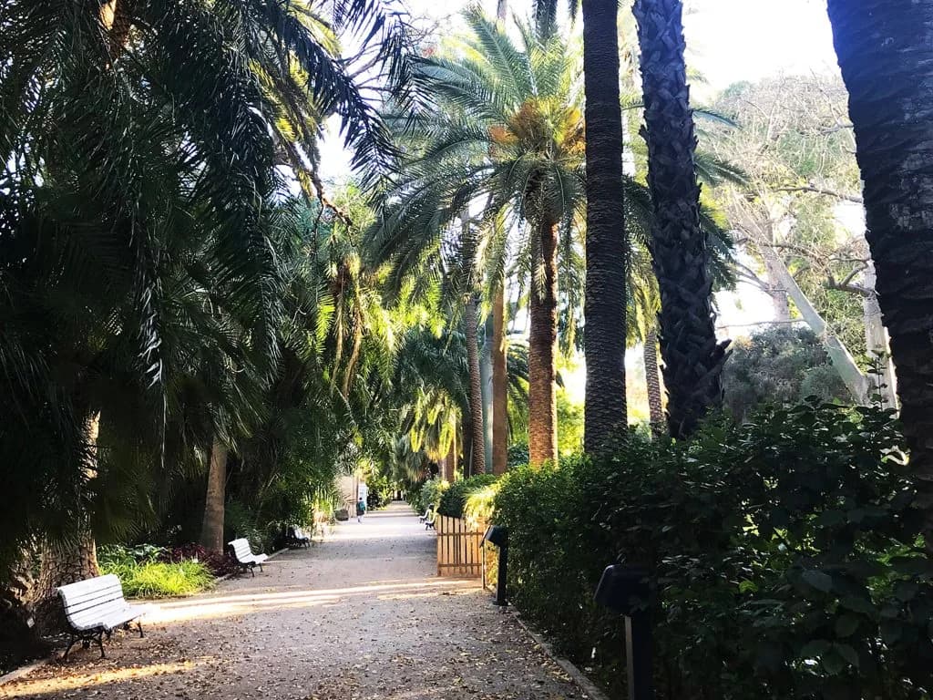 Jardín Botánico de la Universidad de Valencia