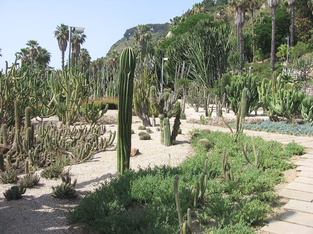 Jardins de Mossèn Costa i Llobera (Barcelona)