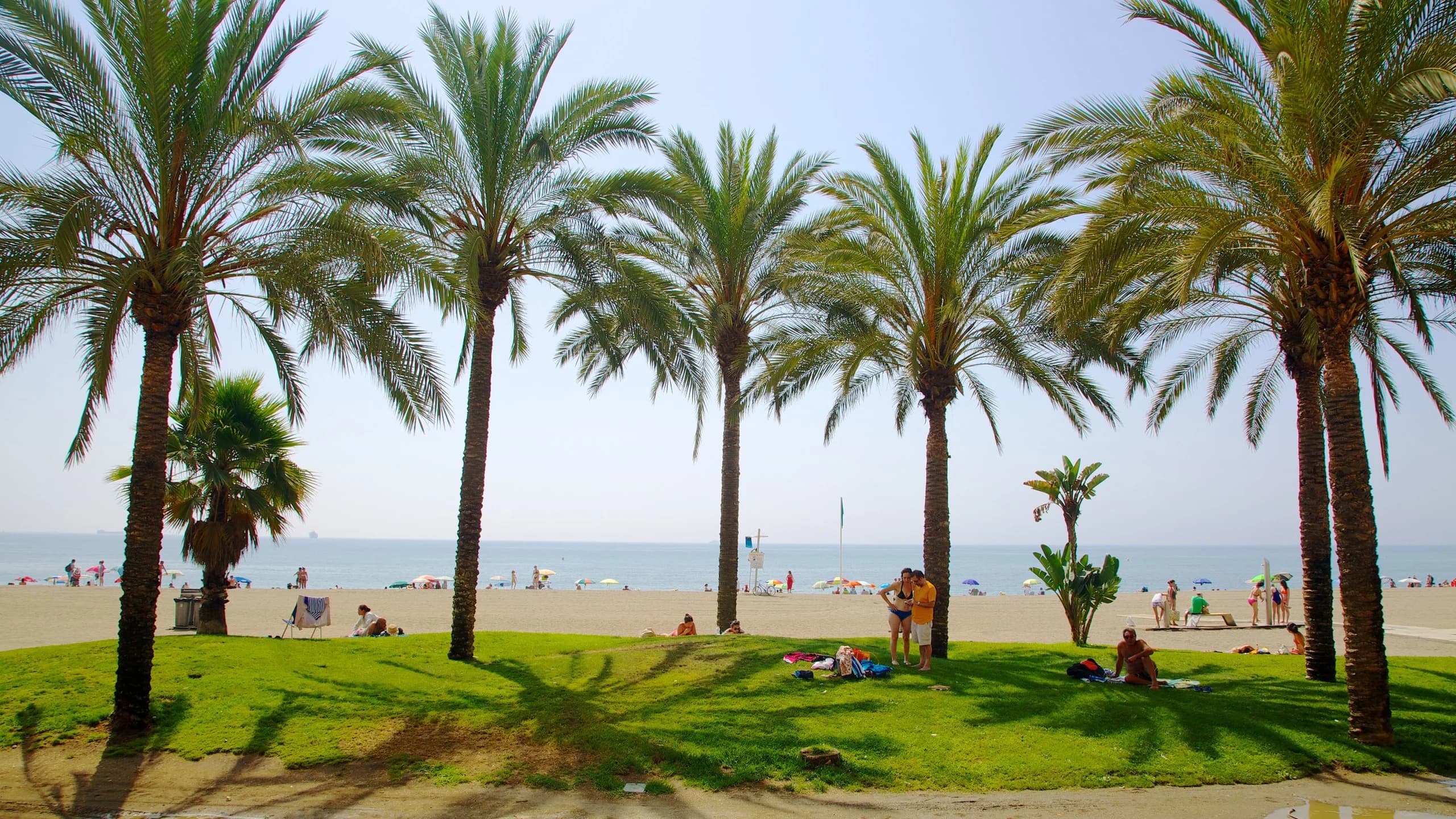 La Reserva 12 Malaga