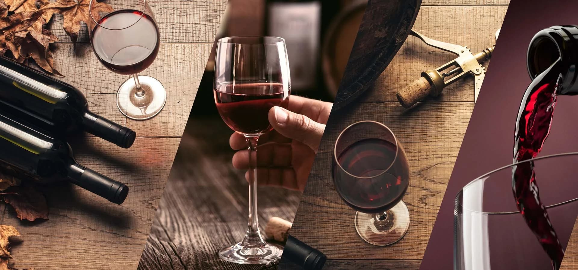 LAVICOCA: vinos de pequeños productores en Hostafrancs Barcelona