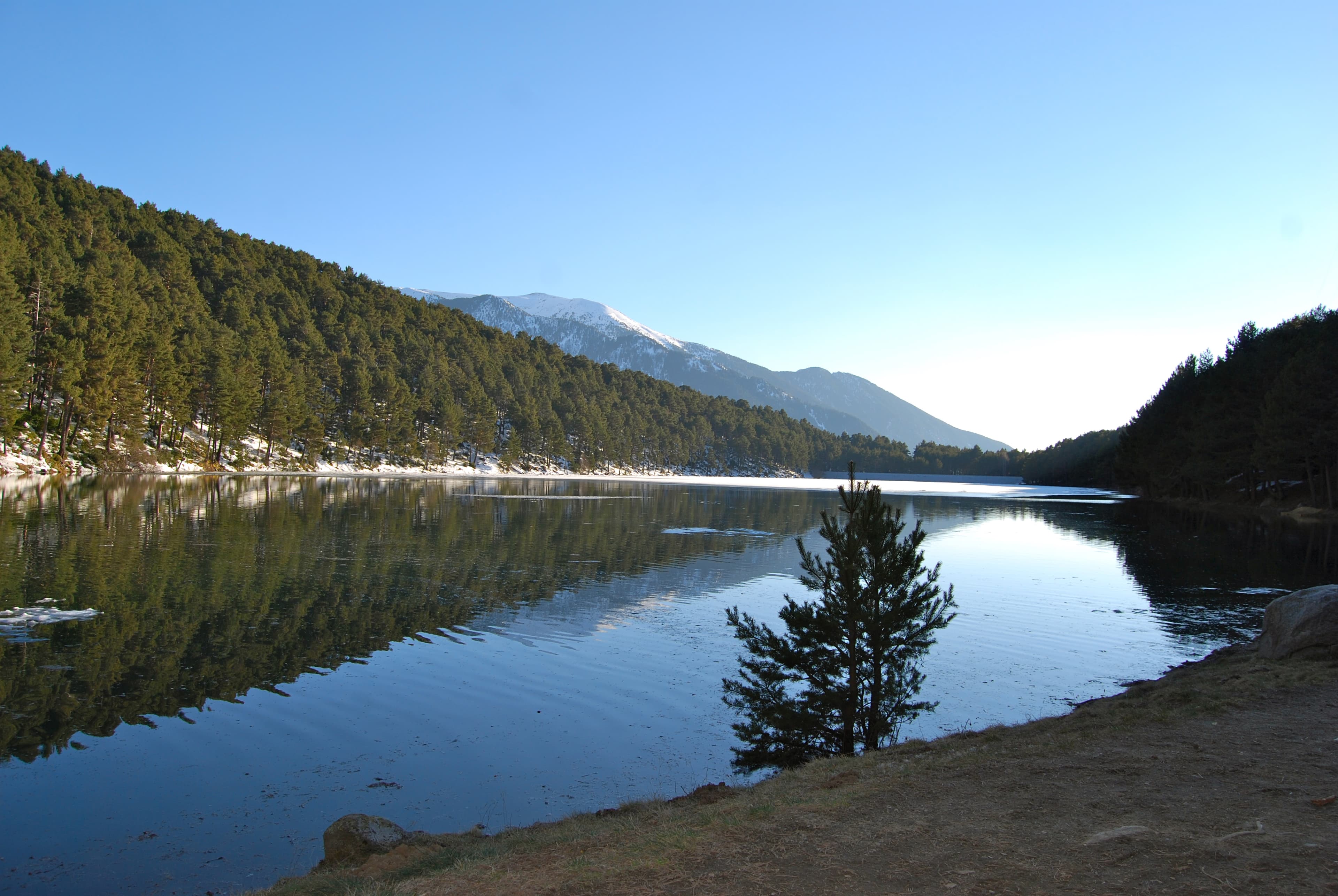 Llac d’Engolasters y el bosque de la instalación Los guardianes del lago