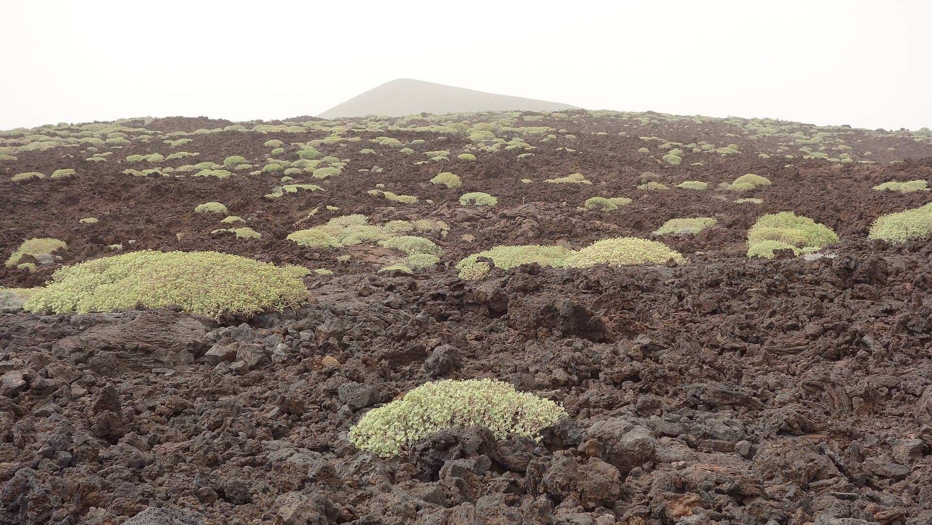 Malpaís de Güímar (Tenerife)