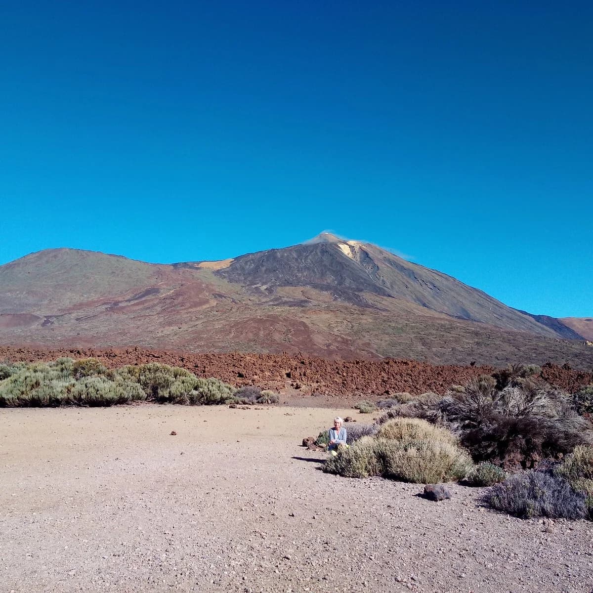 Mirador de Boca Tauce Parque Nacional Teide Tenerife