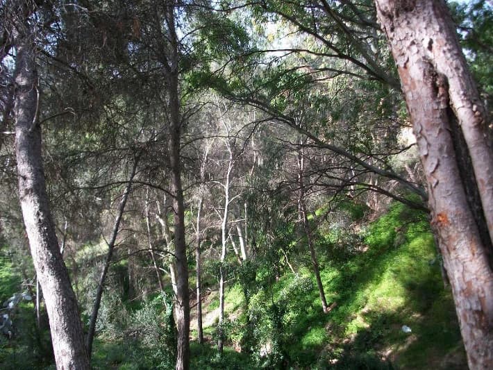 Imagen de Mirador del Monte Victoria en Málaga