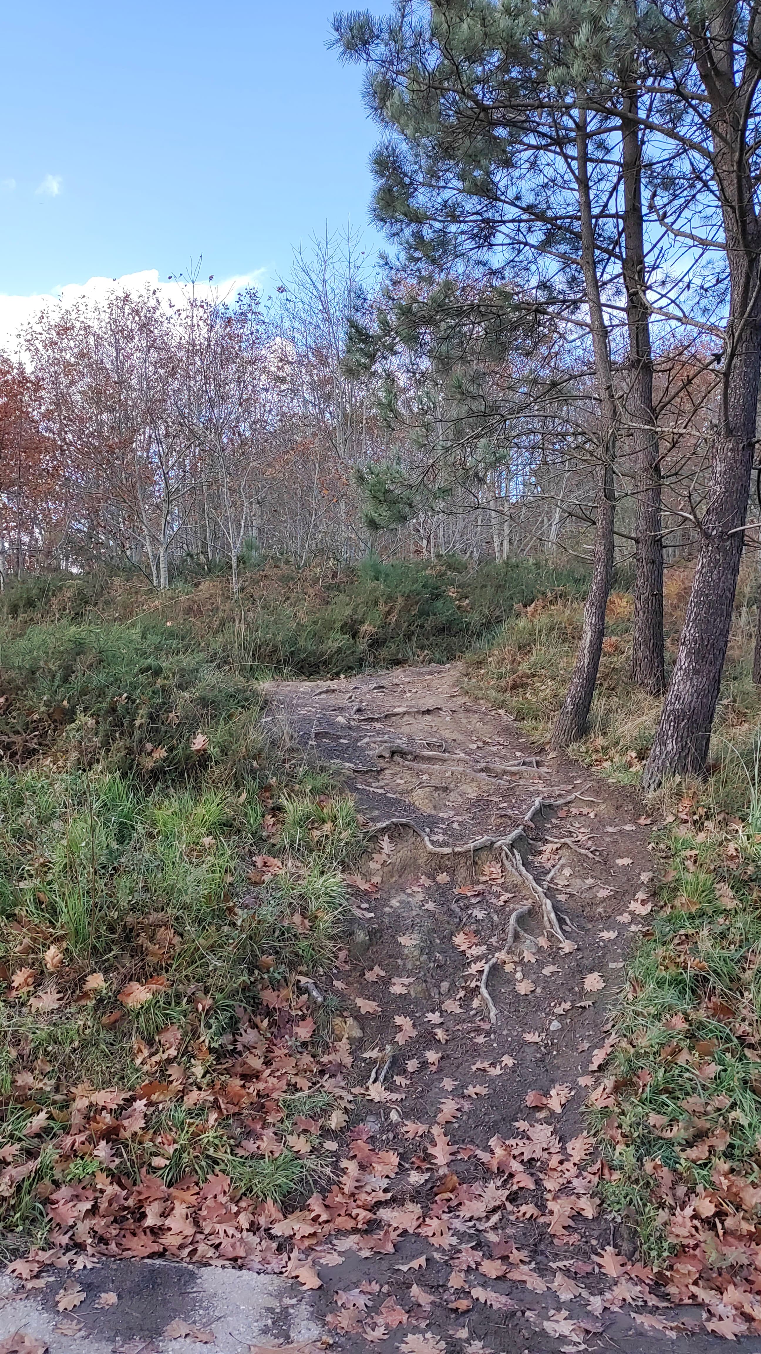 Monte Avril (Bilbao)