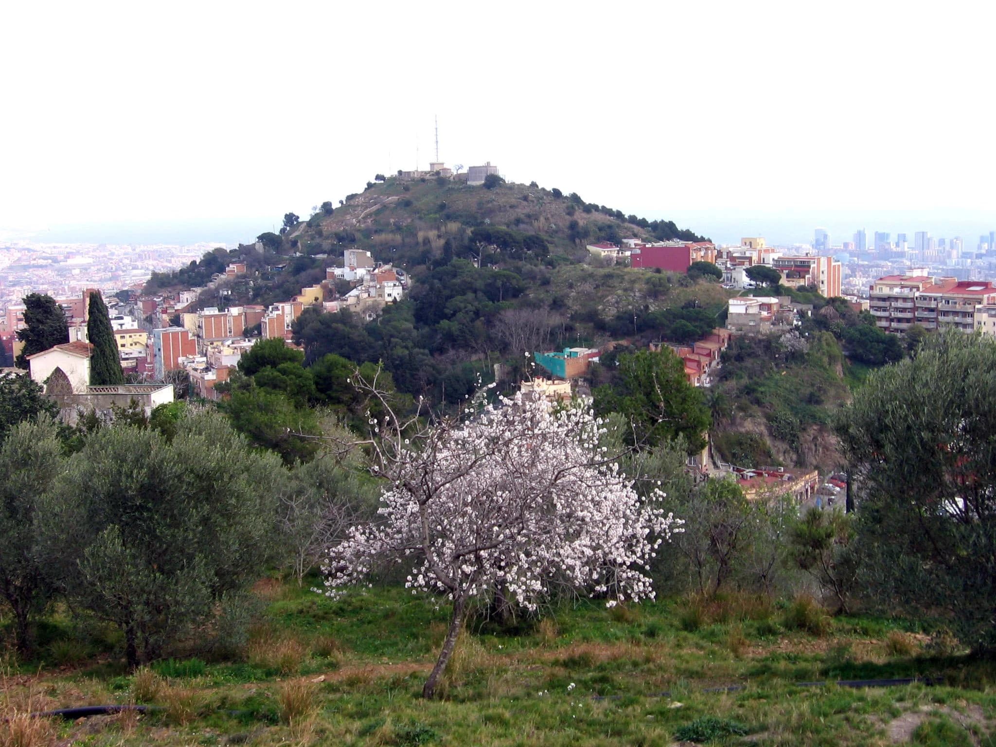 Imagen de MUHBA Turó de la Rovira en Barcelona