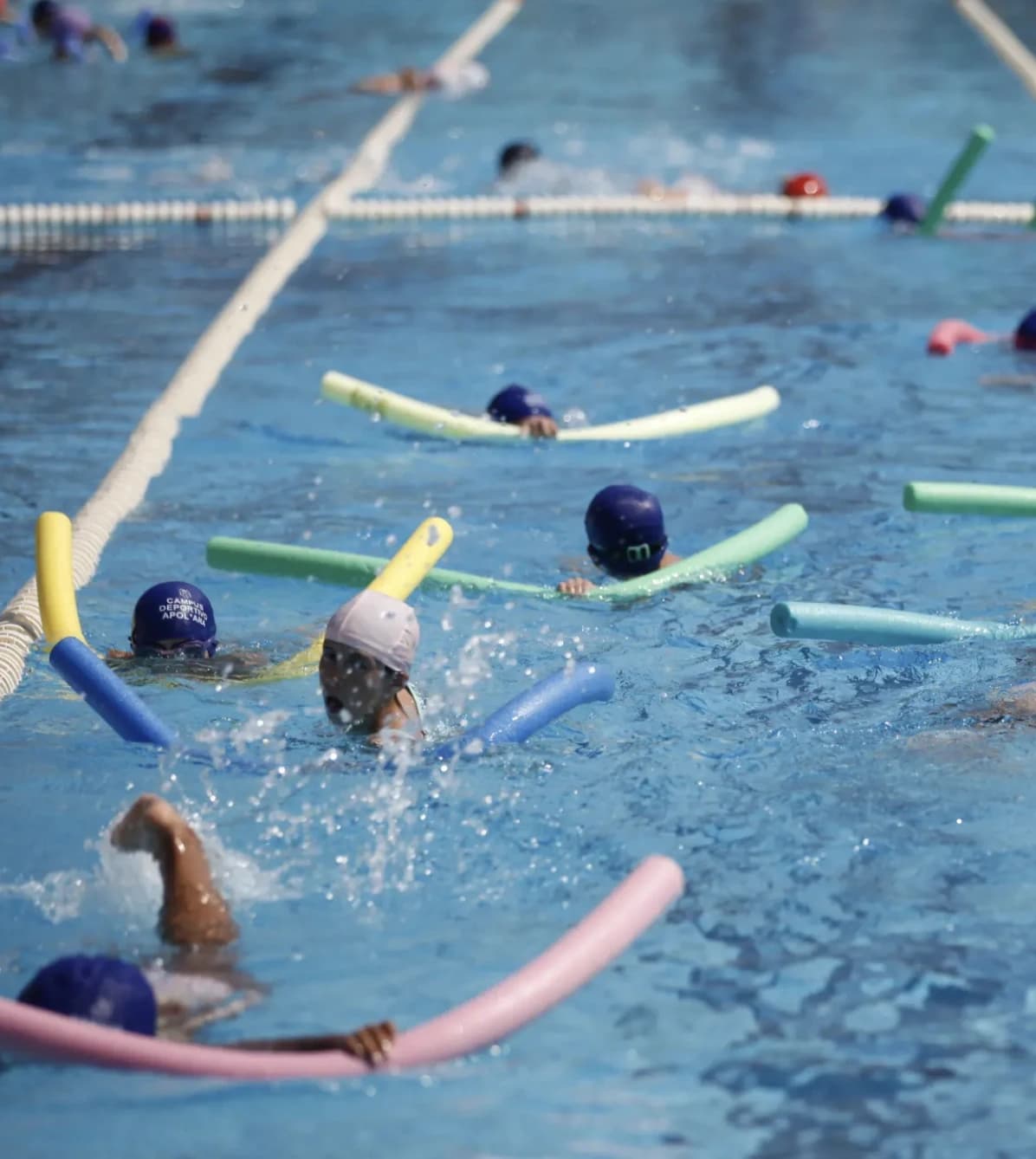 Imagen de Natación Apolana
