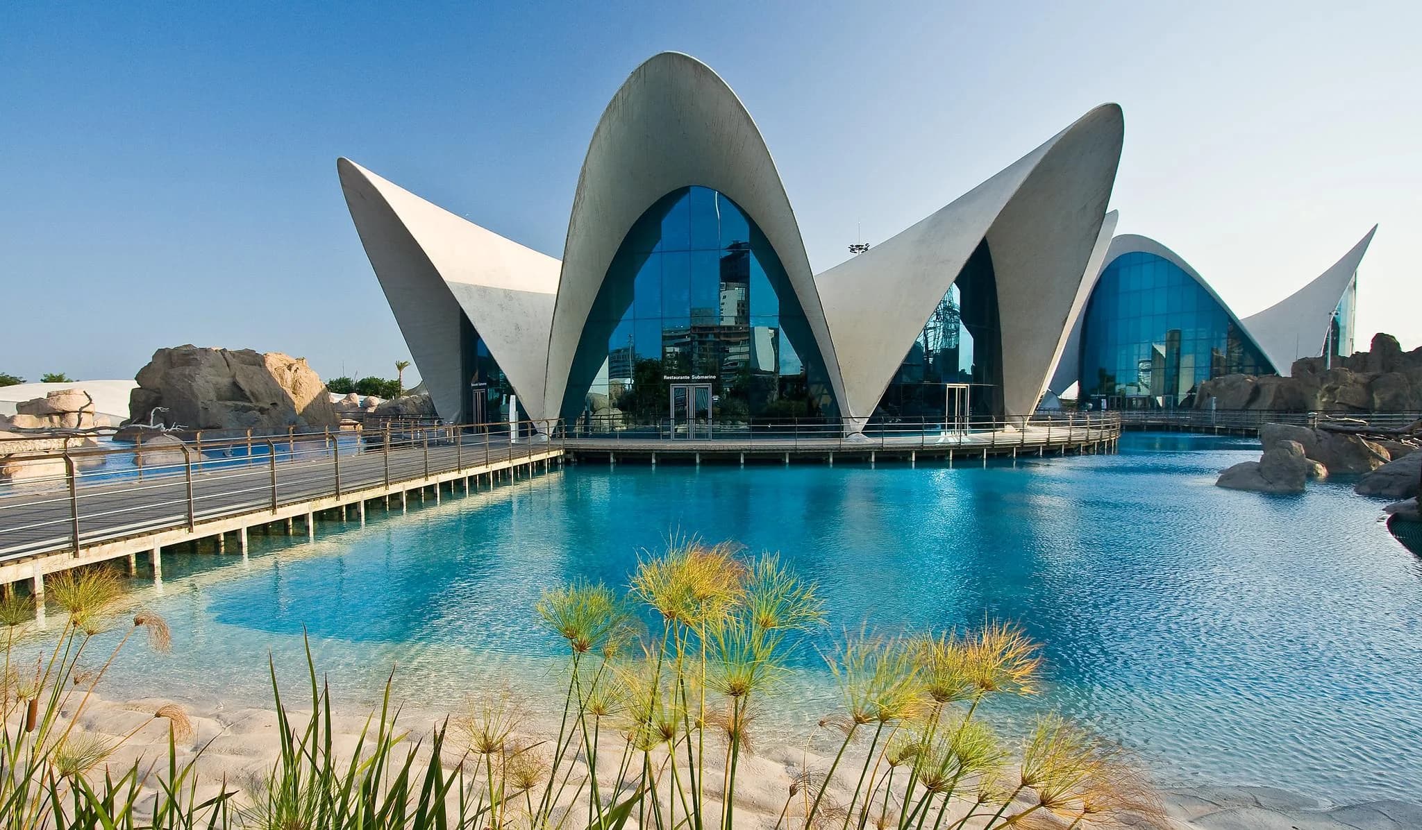 Oceanogràfic Valencia