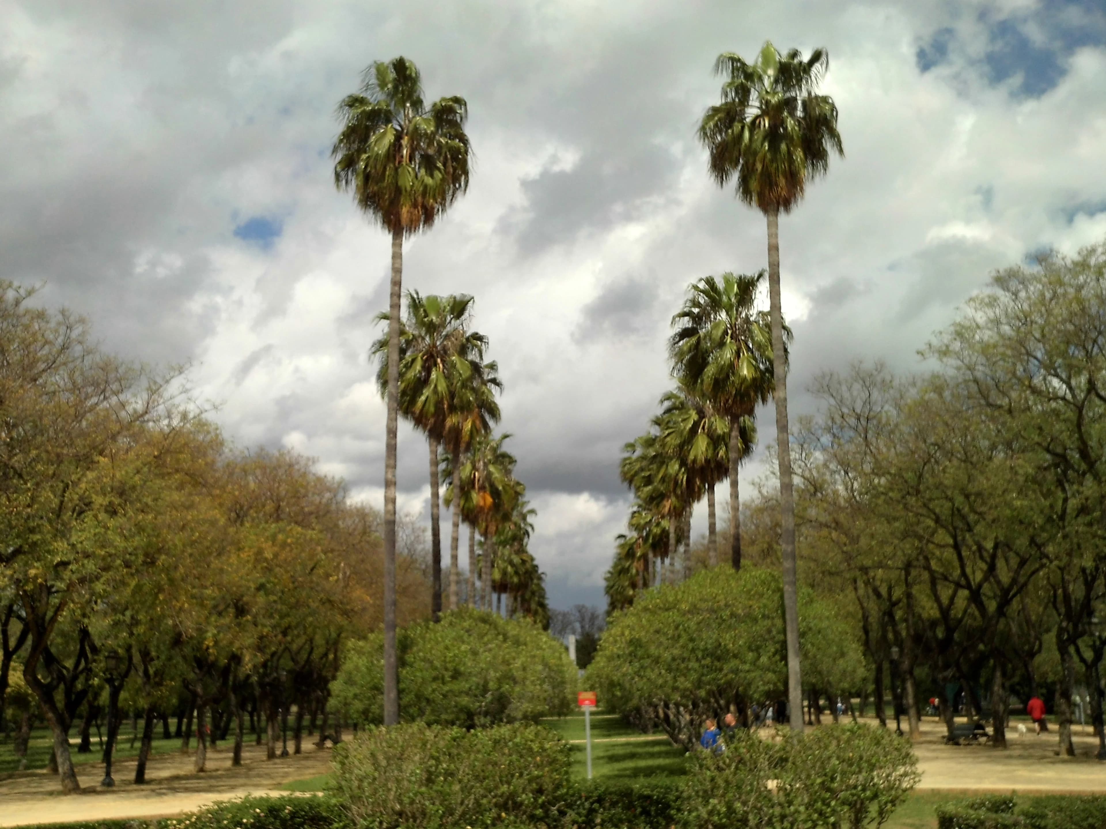 Imagen de Parque Amate en Sevilla