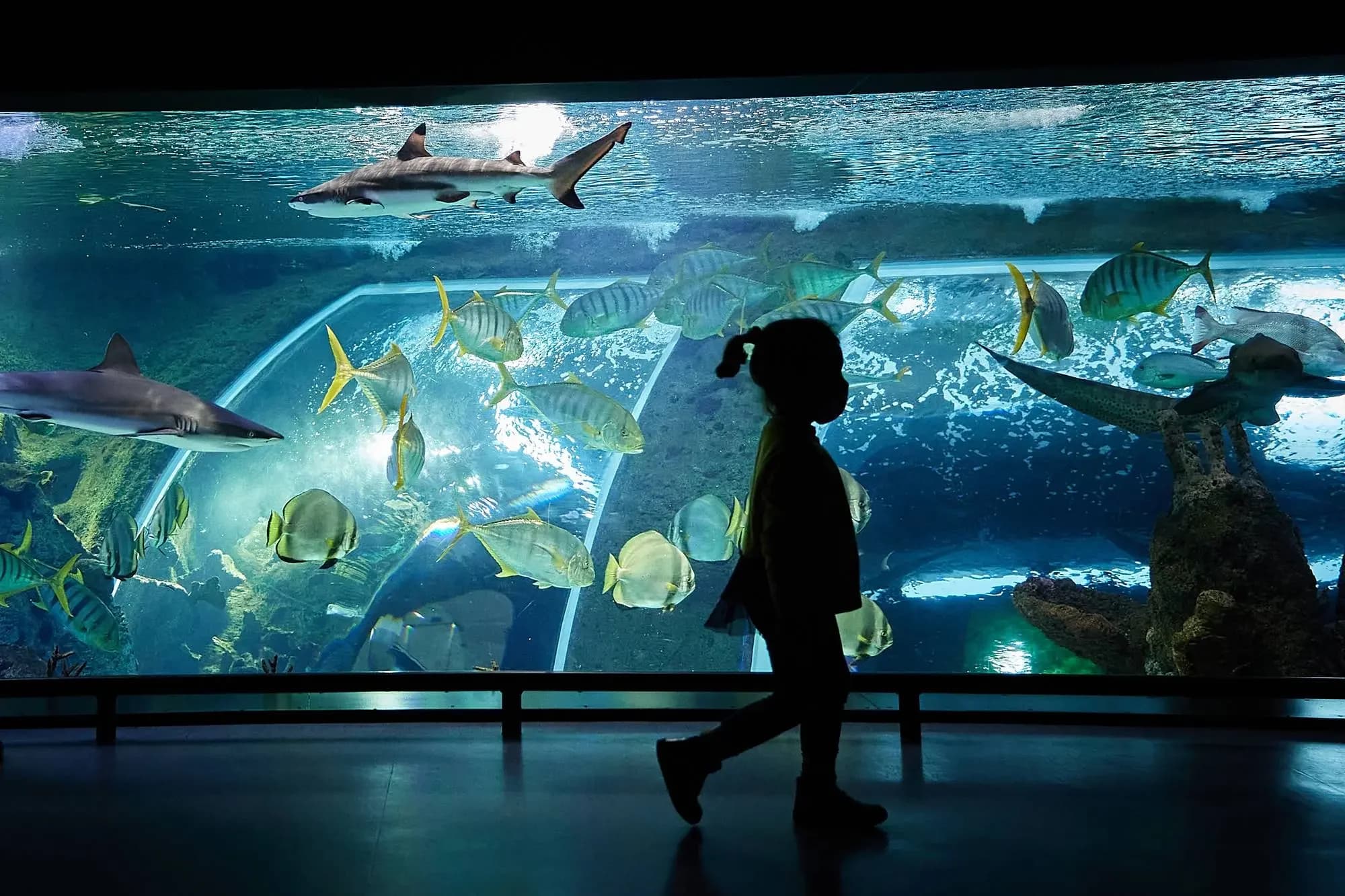Parque de las Ciencias museo interactivo Granada