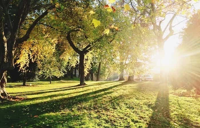 Imagen de Parque de Bidarte en Bilbao