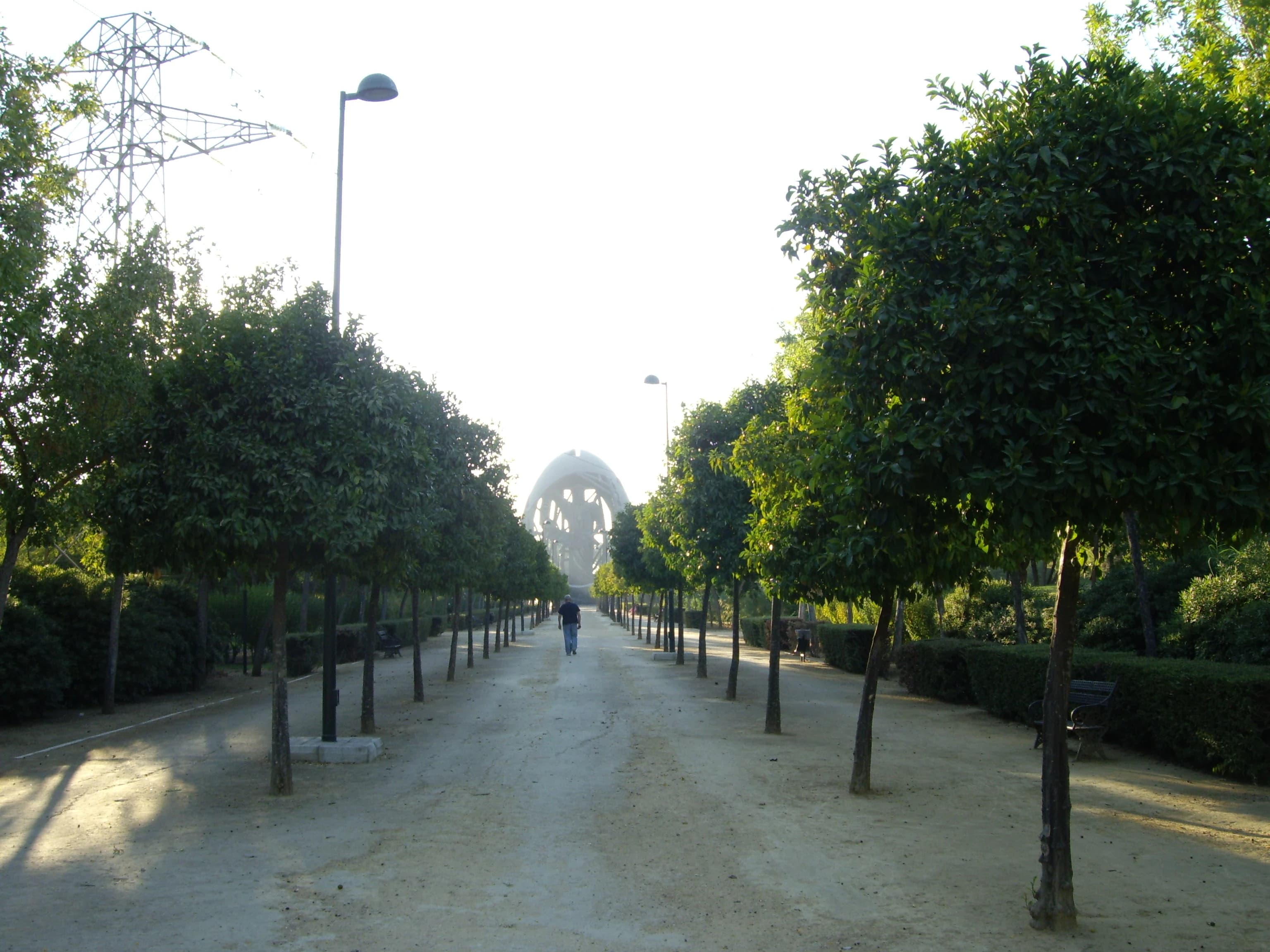Imagen de Parque de San Jerónimo en Sevilla