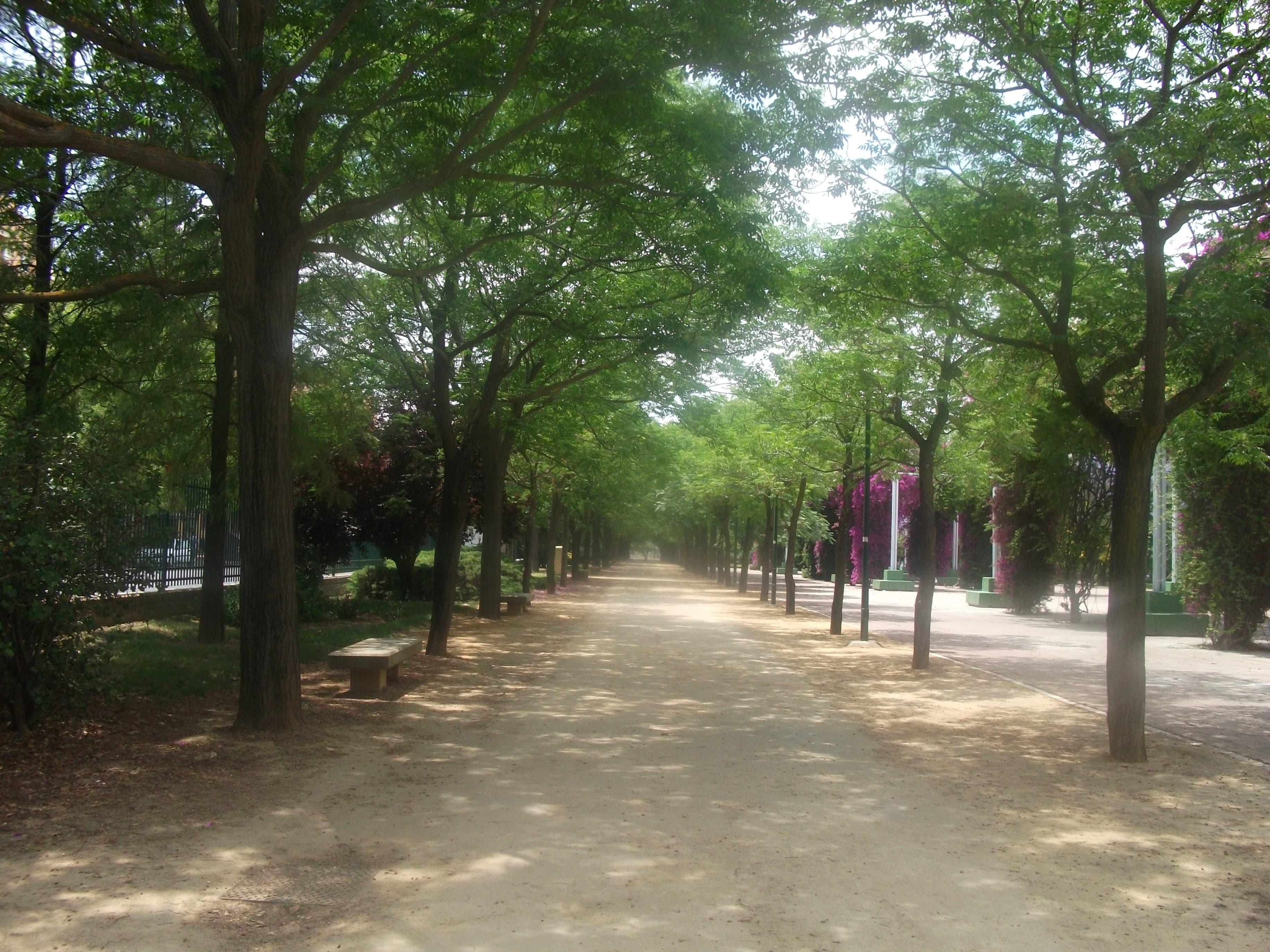 Imagen de Parque José Celestino Mutis en Sevilla