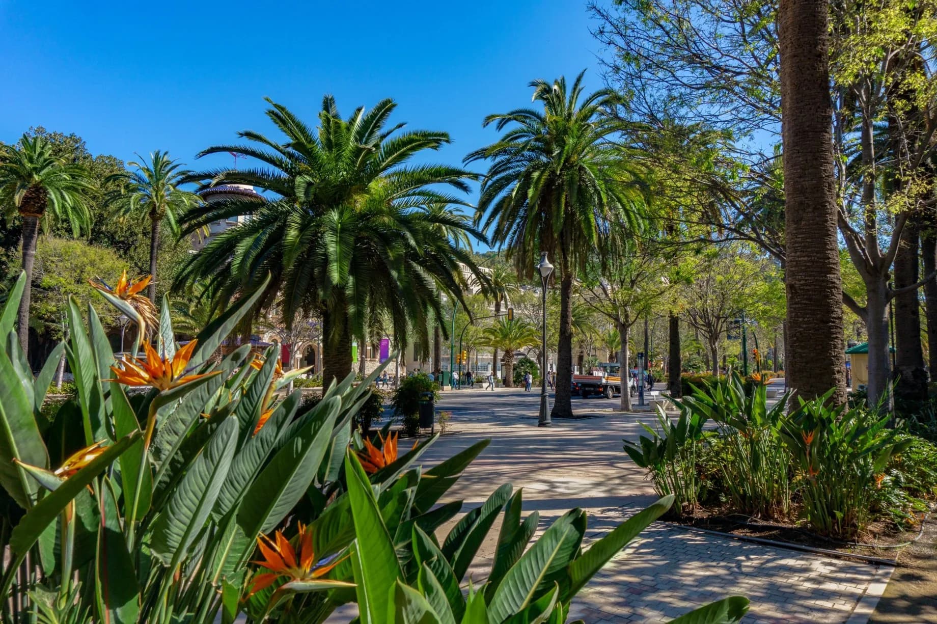 Parque de Málaga: el pulmón histórico de la ciudad desde 1899