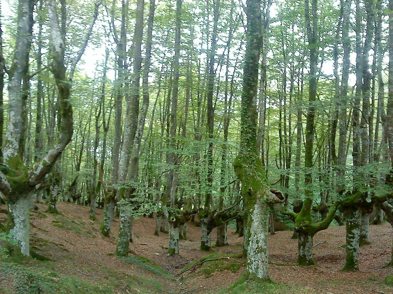Parque Natural de Urkiola (Bilbao)