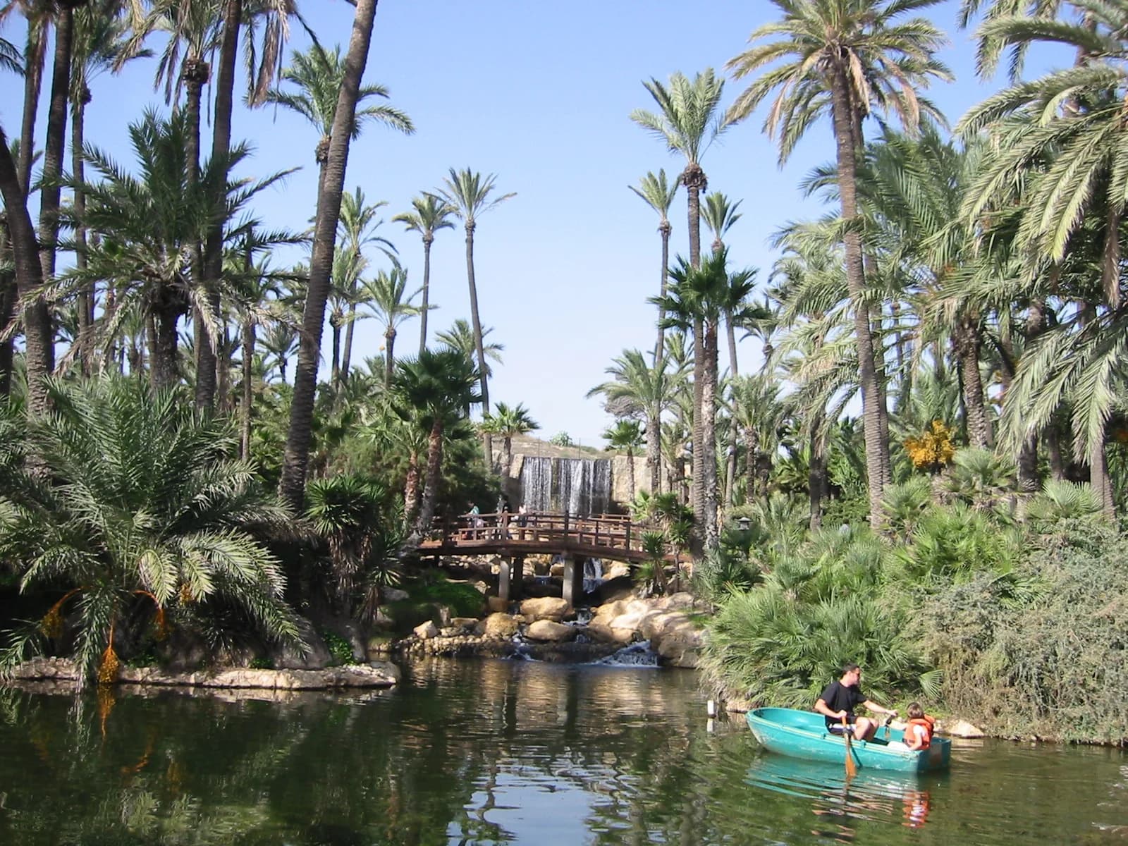 Parque El Palmeral actividades gratuitas Alicante