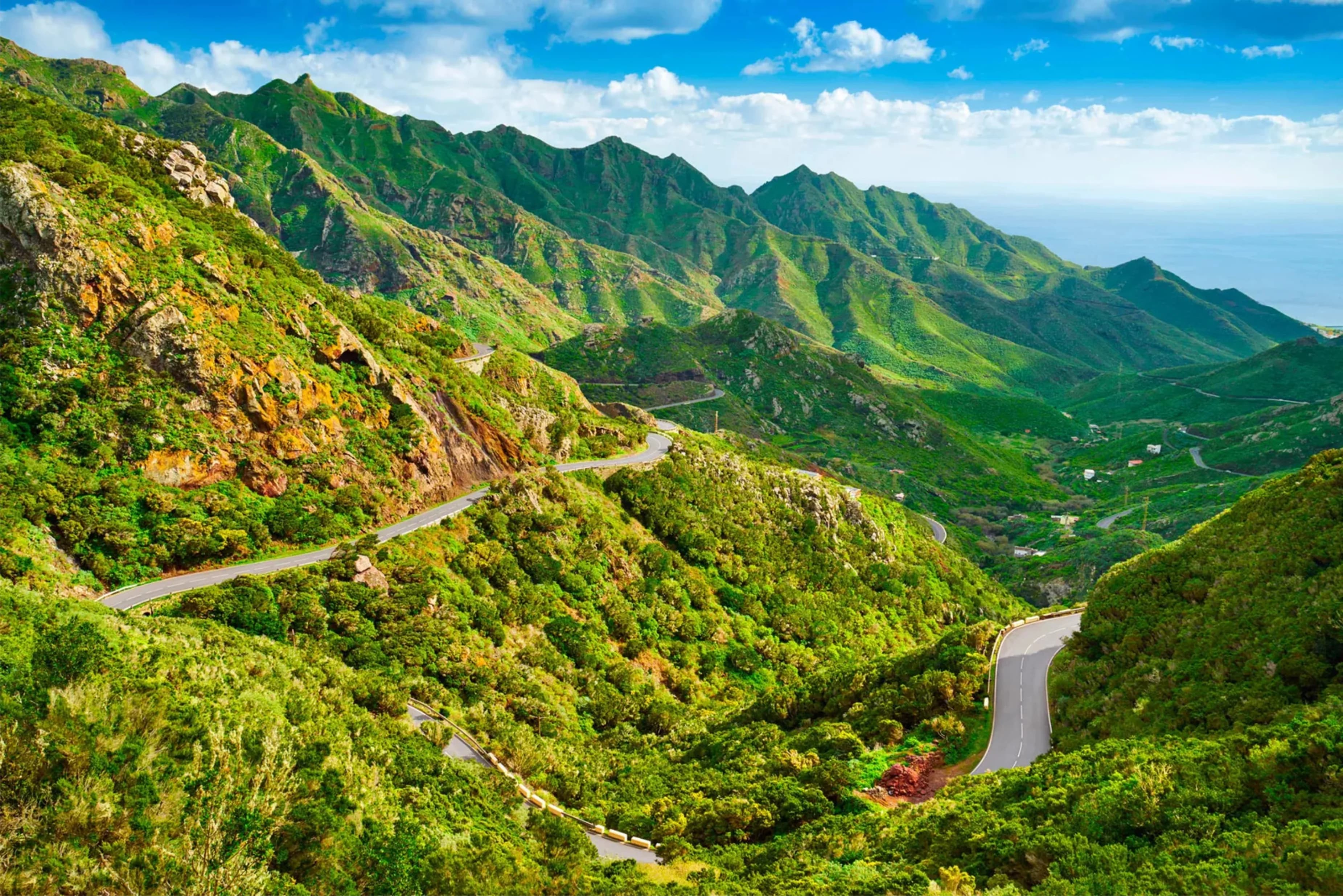 Parque Rural de Anaga laurisilva Cruz del Carmen Tenerife