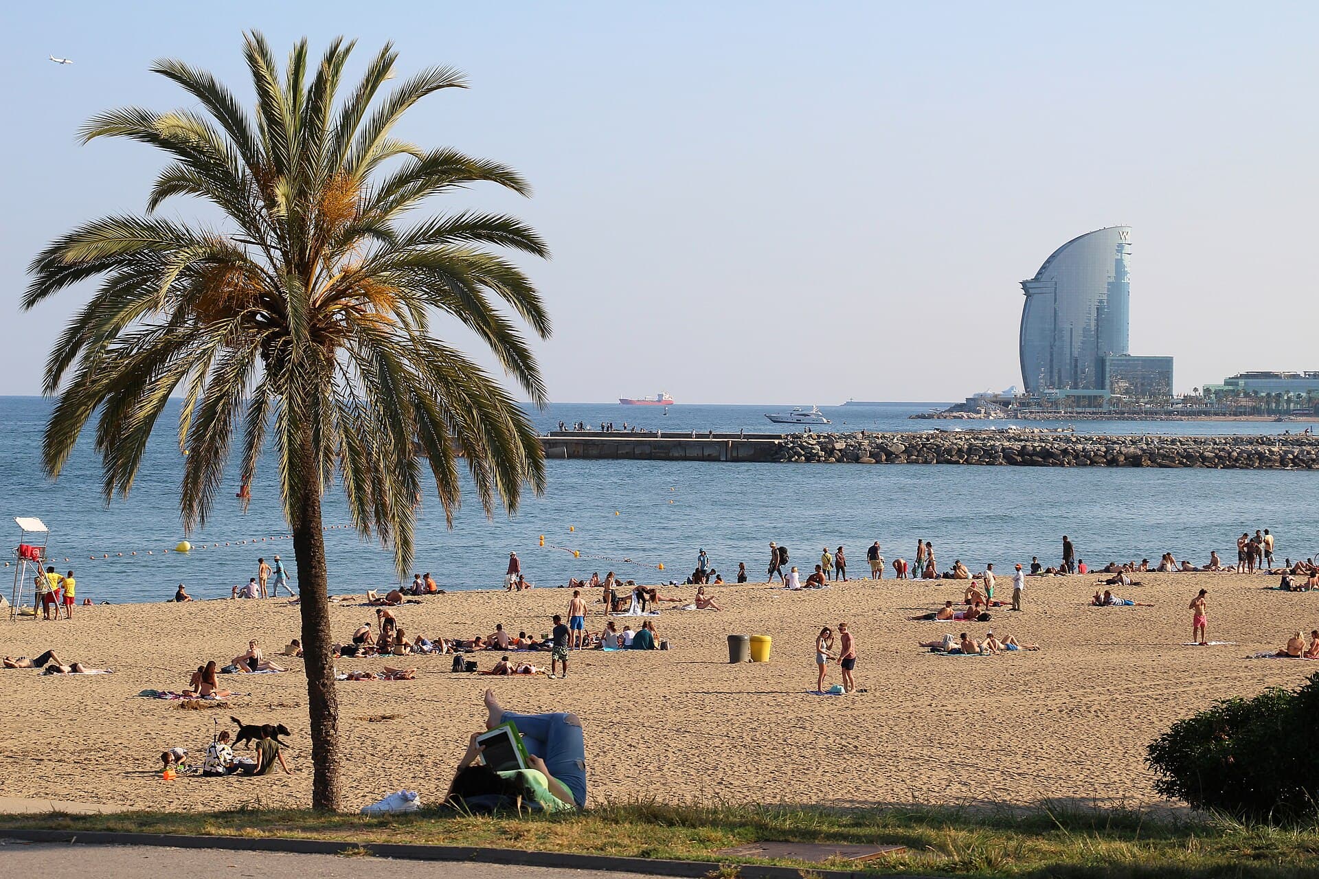 Passeig Marítim de la Barceloneta (Barcelona)