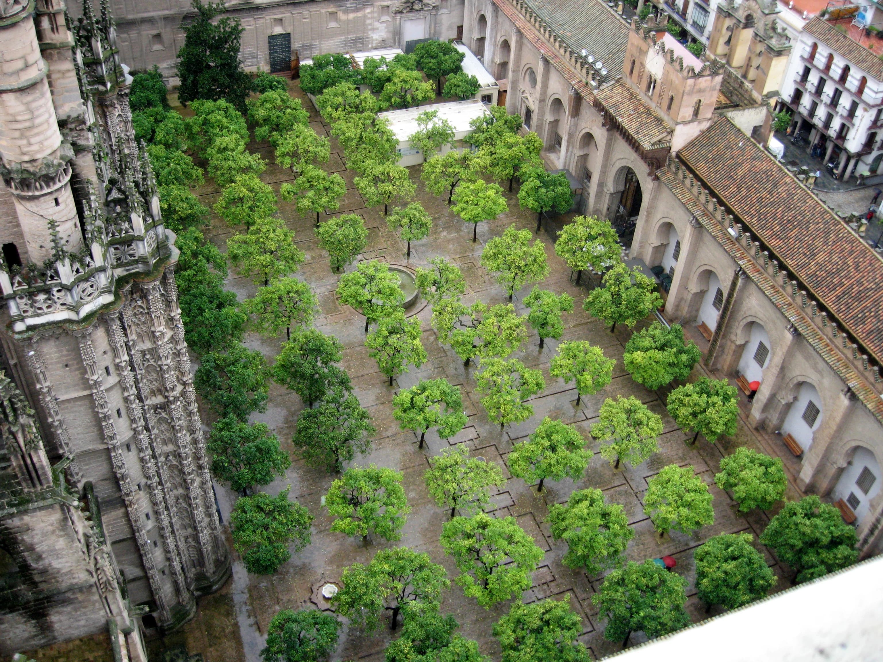 Imagen de Patio de los Naranjos de la Catedral de Sevilla en Sevilla