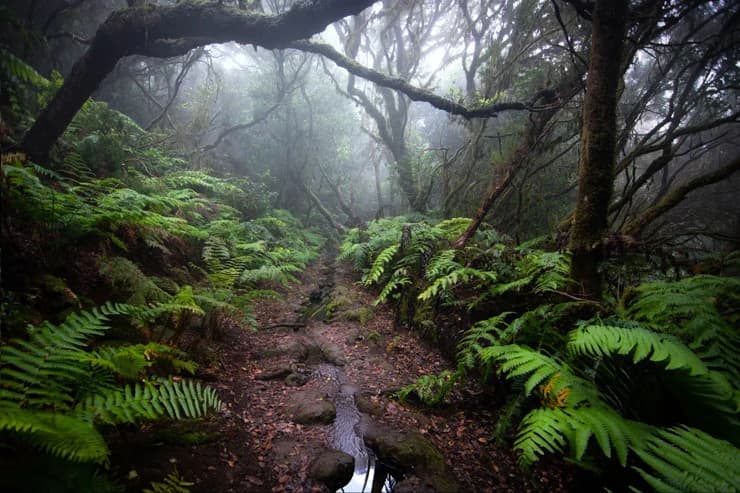 Imagen de PhotoPills Expedition to Tenerife 2027 en Tenerife