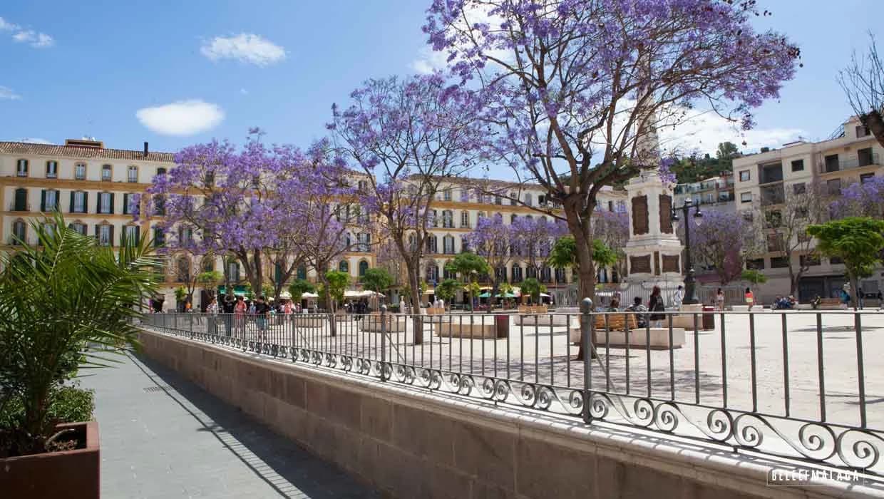 Plaza de la Merced: geometría urbana y la casa de Picasso Malaga