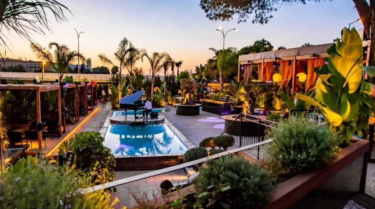 Pura Vida terraza con palmeras y piscina