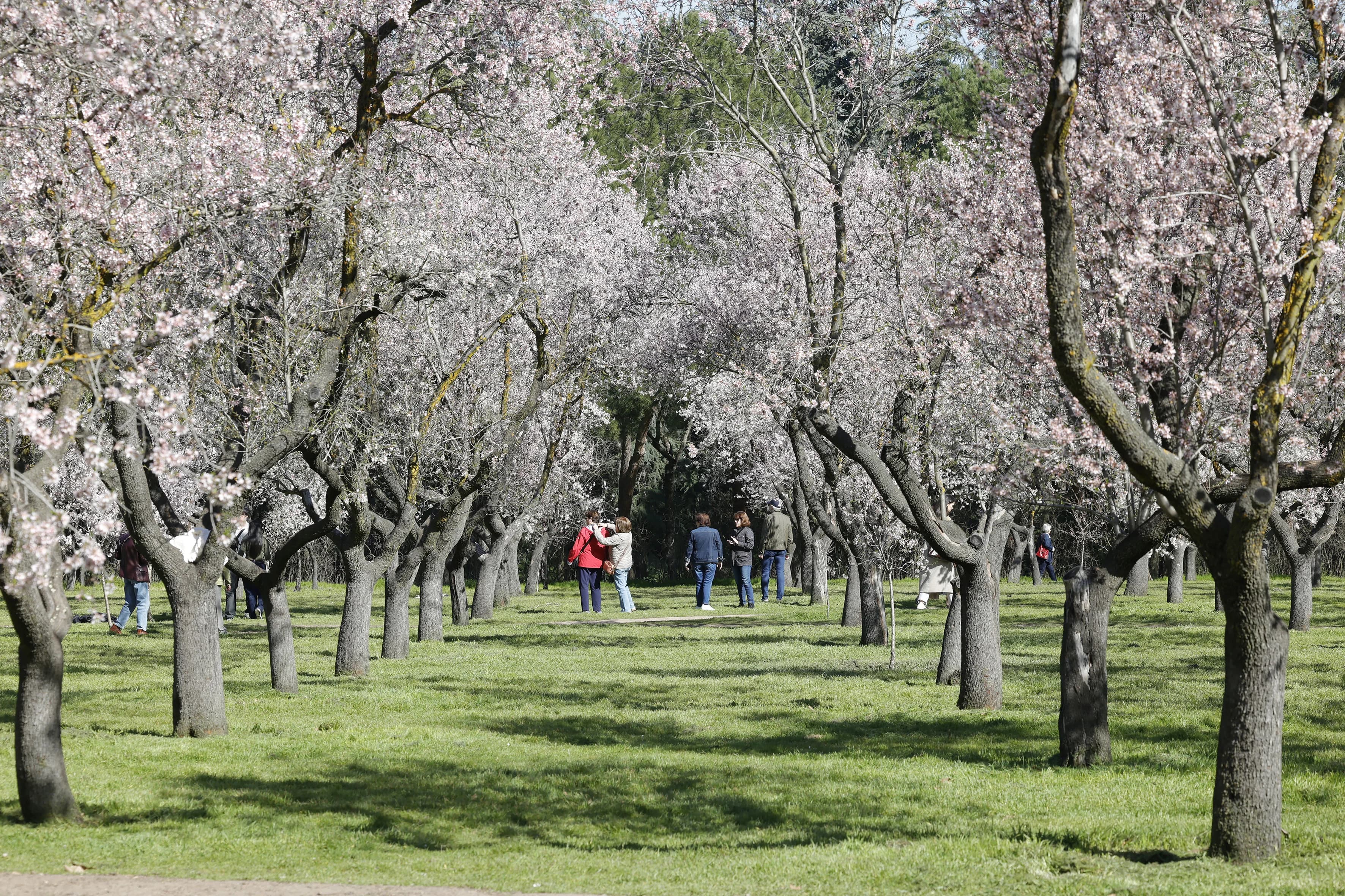 Quinta de los Molinos Madrid