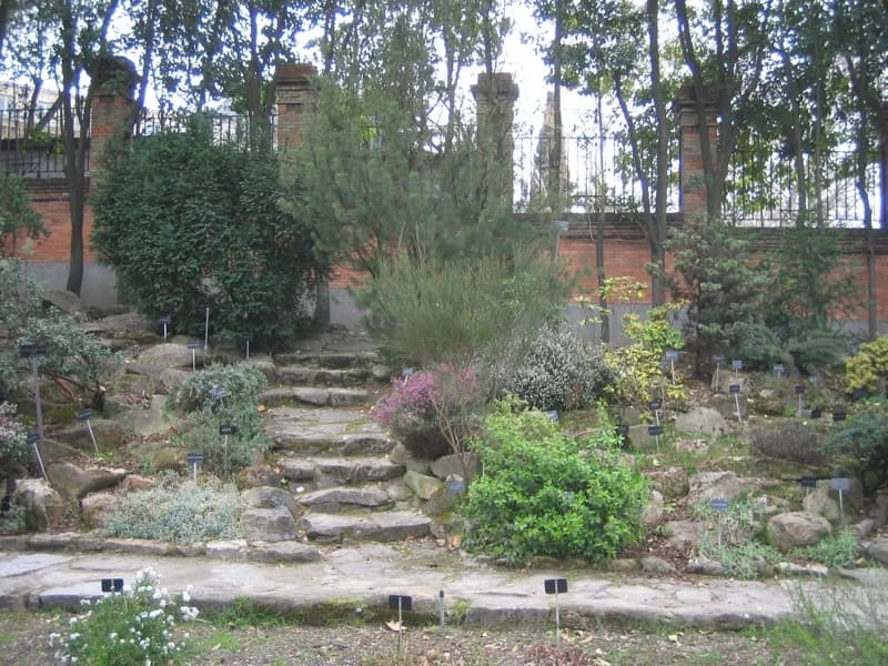 Imagen de Real Jardín Botánico en Madrid