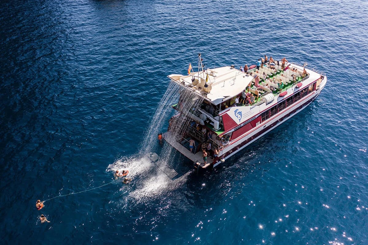 Imagen de Tenerife Dolphin