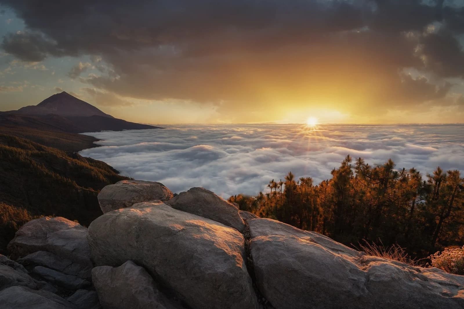 Imagen de Tenerife Photography Workshop 2027 — IceMonkey Tours en Tenerife