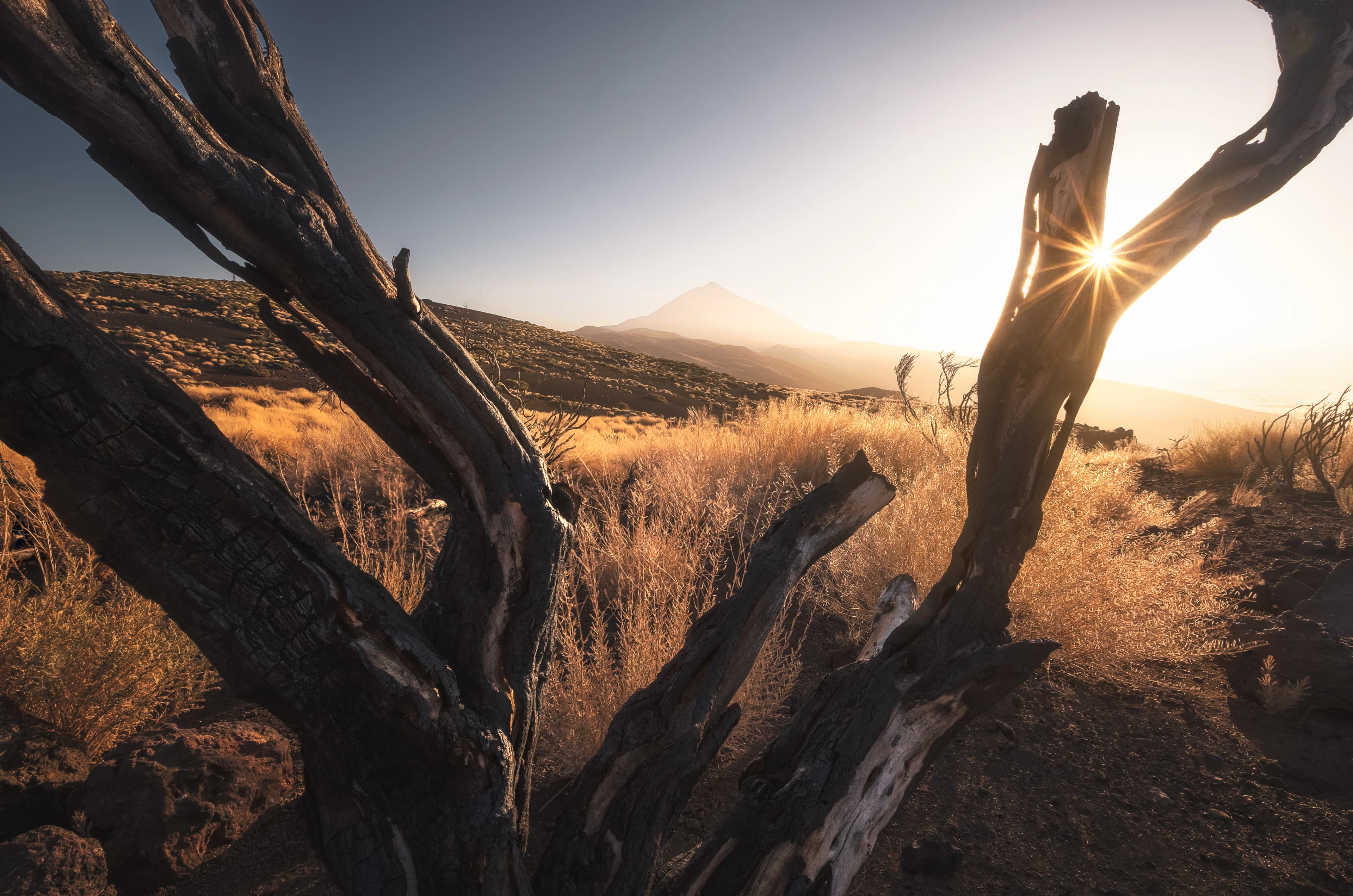Imagen de Tenerife Photography Workshop 2027 — Rémi Bergougnoux Photography en Tenerife