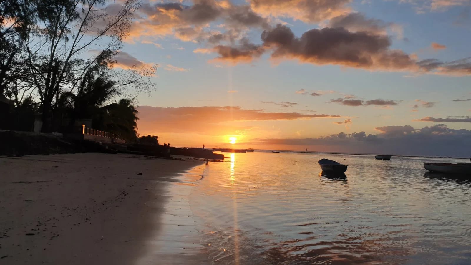 La Térmica: el mayor espacio cultural alternativo de la provincia Malaga