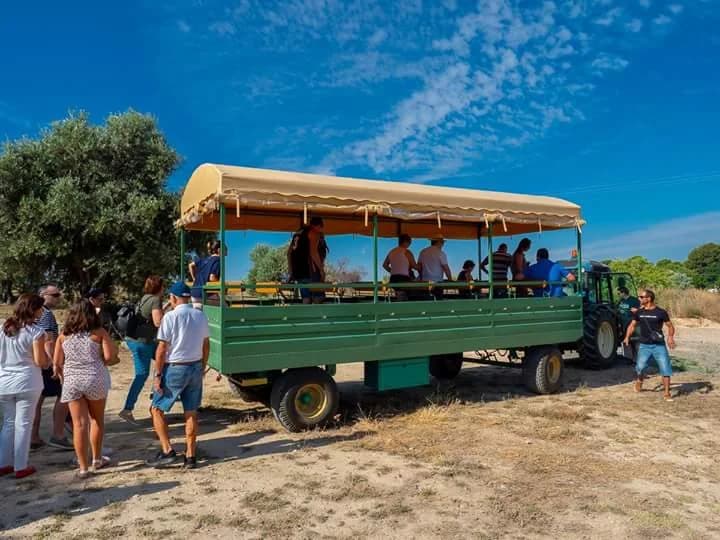 Vinícola de Arganda bodega enoturismo Arganda del Rey Madrid