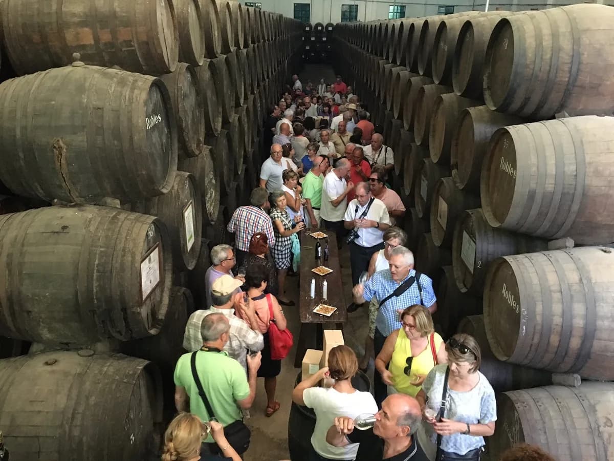 Interior de Vinoteca Robles