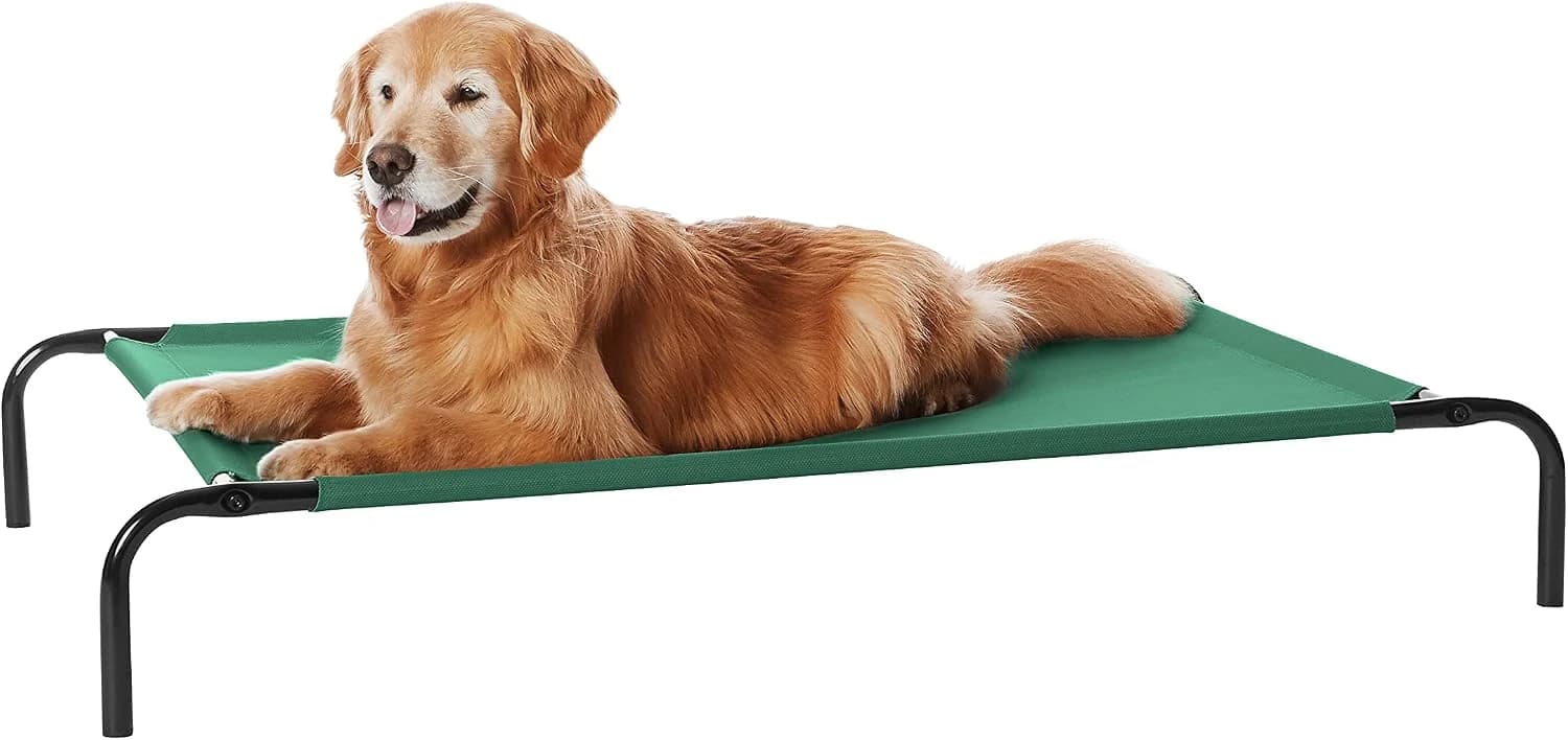 Amazon Basics Cama elevada refrescante para Perro mascotas, Verde, Large, 130 x 80 x 19 cm (L x An x Al)