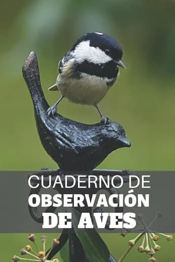 Cuaderno de Observación de Aves: Es un cuaderno con el que va a poder llevar un registro completo de sus avistamientos de aves | 125 páginas ( 15 x 23cm ) | Regalo original para un observador de aves.